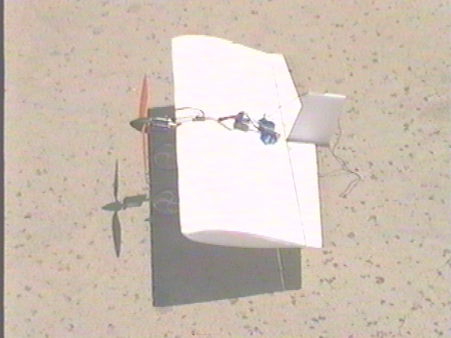 fun1 copy.JPG (83245 bytes)