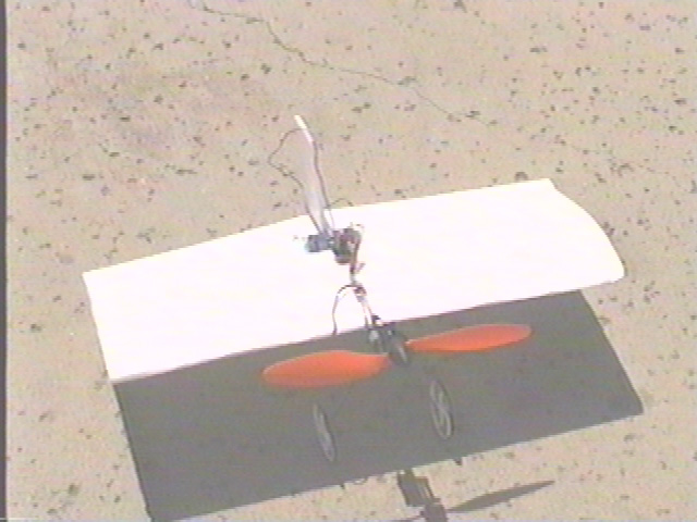 fun2 copy.JPG (85145 bytes)