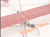 animation.GIF (191121 bytes)